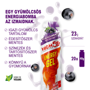 High5 Energy Gel blackcurrant